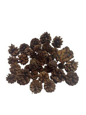 Natural Brown Pinecones for Garland Party Wedding Decor Christmas Craft Supply
